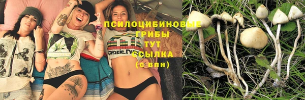 PSILOCYBIN Алзамай