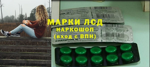 PSILOCYBIN Алзамай