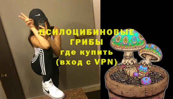 PSILOCYBIN Алзамай