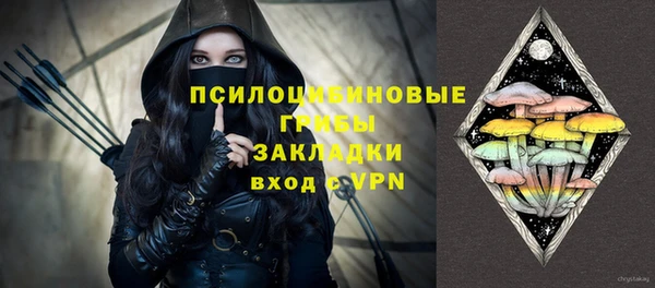 PSILOCYBIN Алзамай