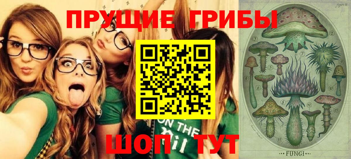 Сосновый Бор  Галлюциногенные грибы ЛСД  Вход с VPN 
