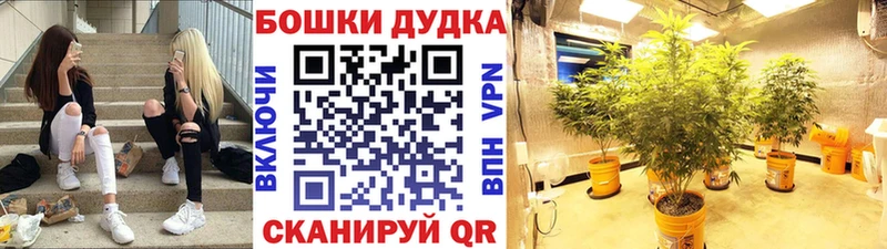 Марихуана Bruce Banner цены наркотик Сосновый Бор