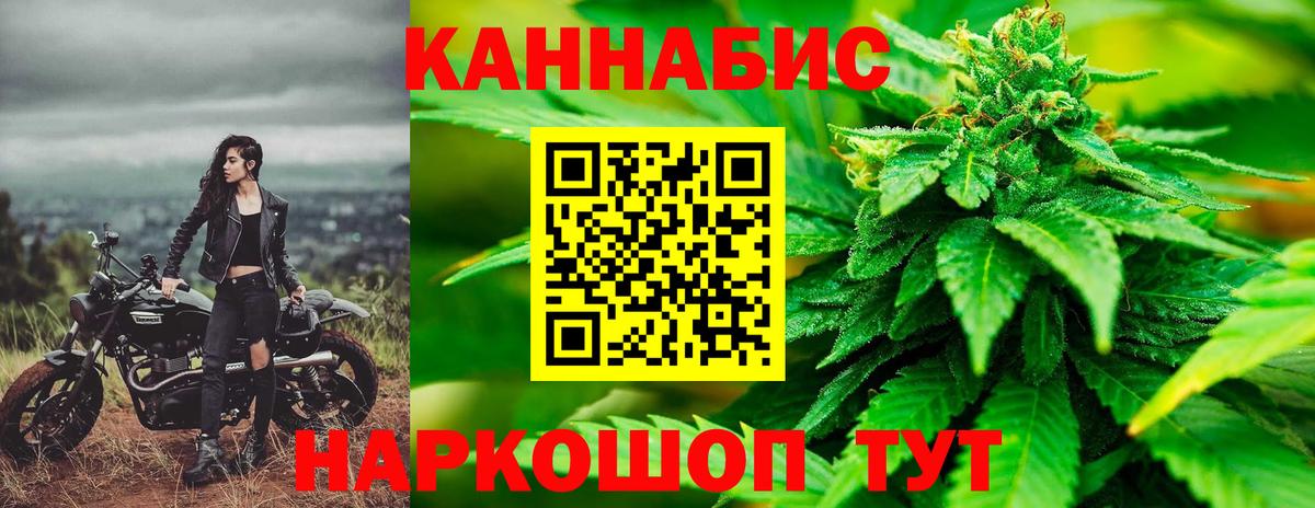МАРИХУАНА OG Kush Сосновый Бор